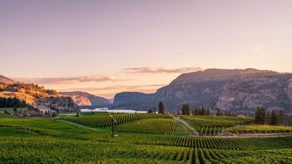 Hiilite Photography Kelowna